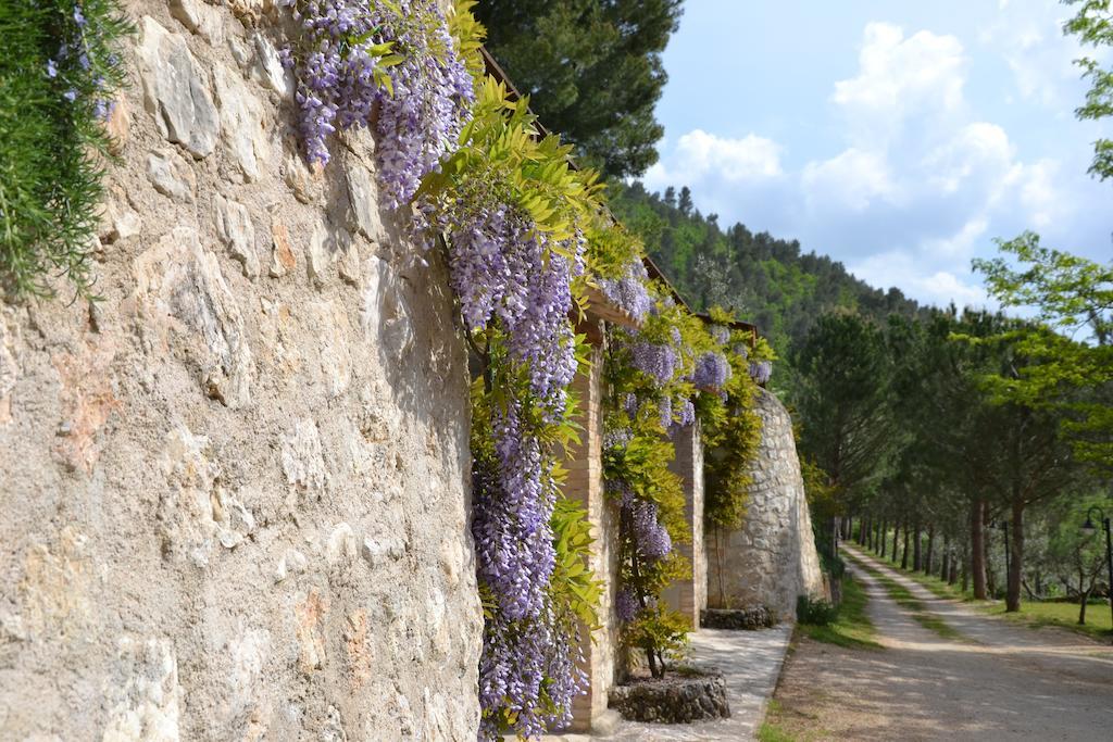 Agriturismo Istrice Innamorato Campello sul Clitunno Buitenkant foto