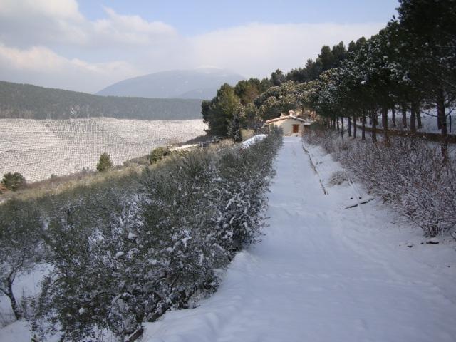 Agriturismo Istrice Innamorato Campello sul Clitunno Buitenkant foto
